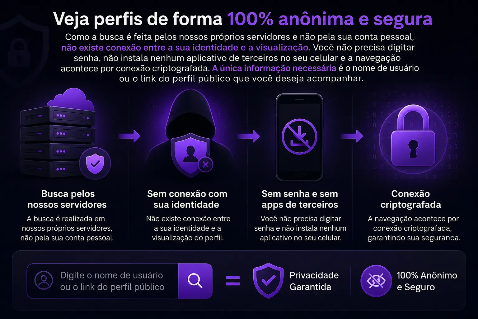 É seguro usar o Story Anônimo